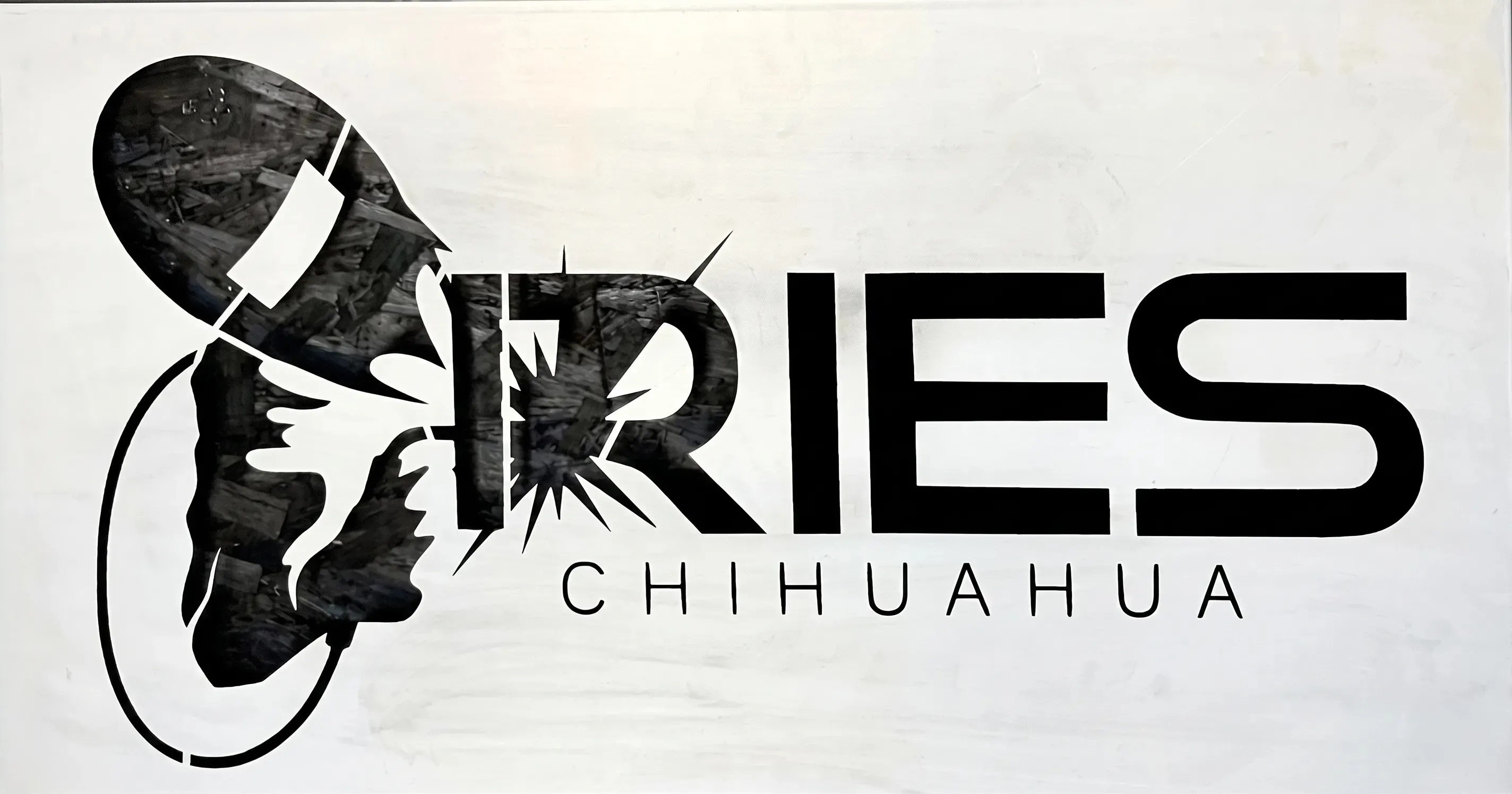 Logotipo estilizado en blanco y negro de la empresa RIES Chihuahua